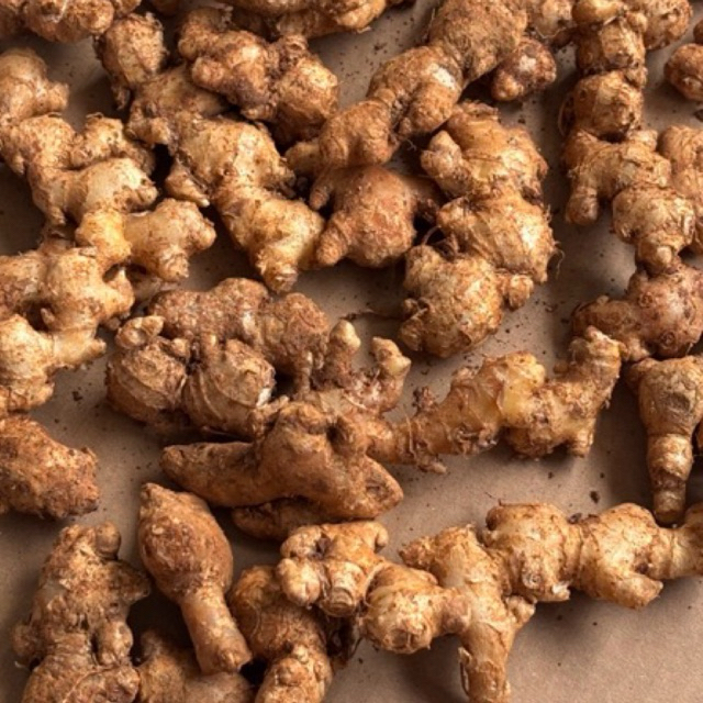 

Jahe Emprit Segar Pedas Alami Original 1kg