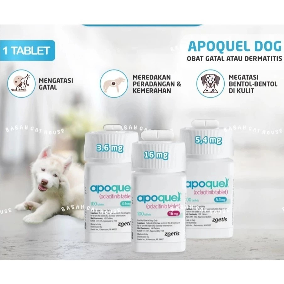 [10 TABLET] Apoquel Obat Anti Gatal Hewan Anjing Zoetis Tablet 3,6mg / 5,4mg / 16mg - Obat Anti Gata