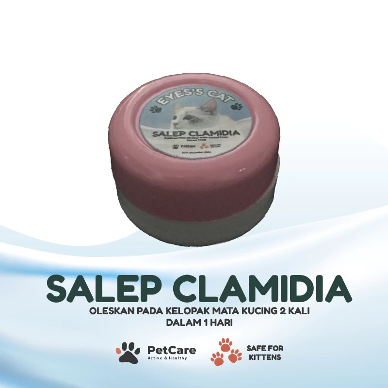 Salep mata clamidia salep mata kucing bengkak bernanah