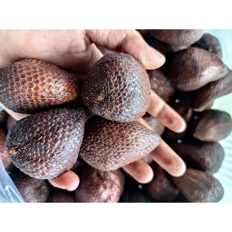 

Salak pondoh 1kg