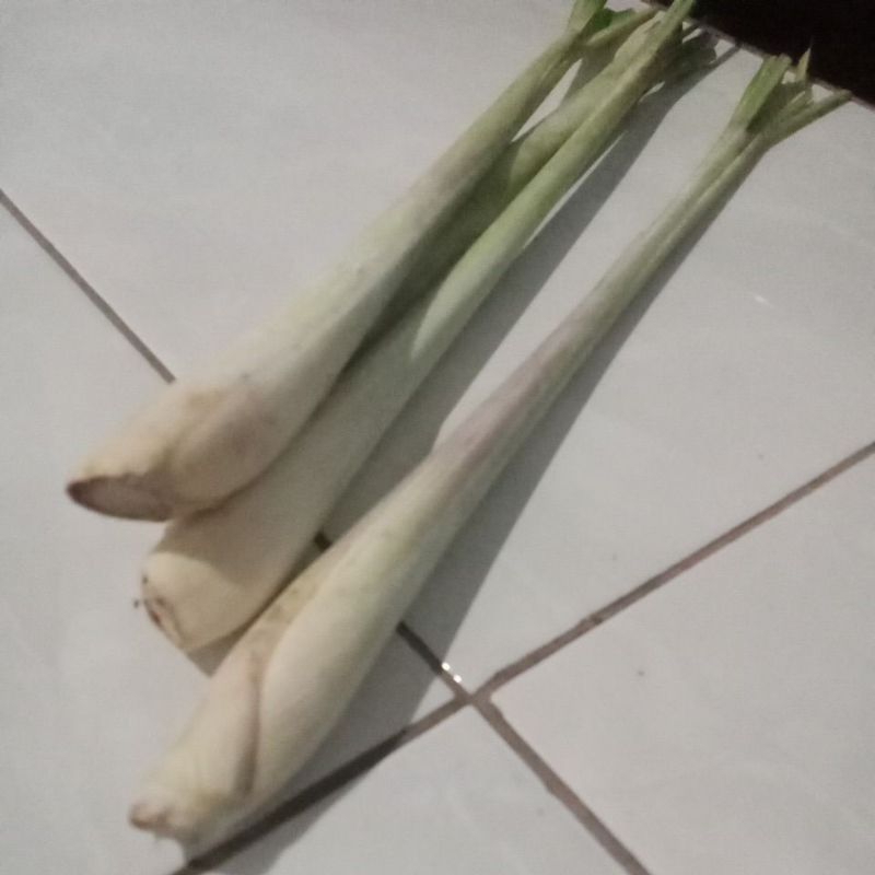

sere/serai dapur jumbo 1kg