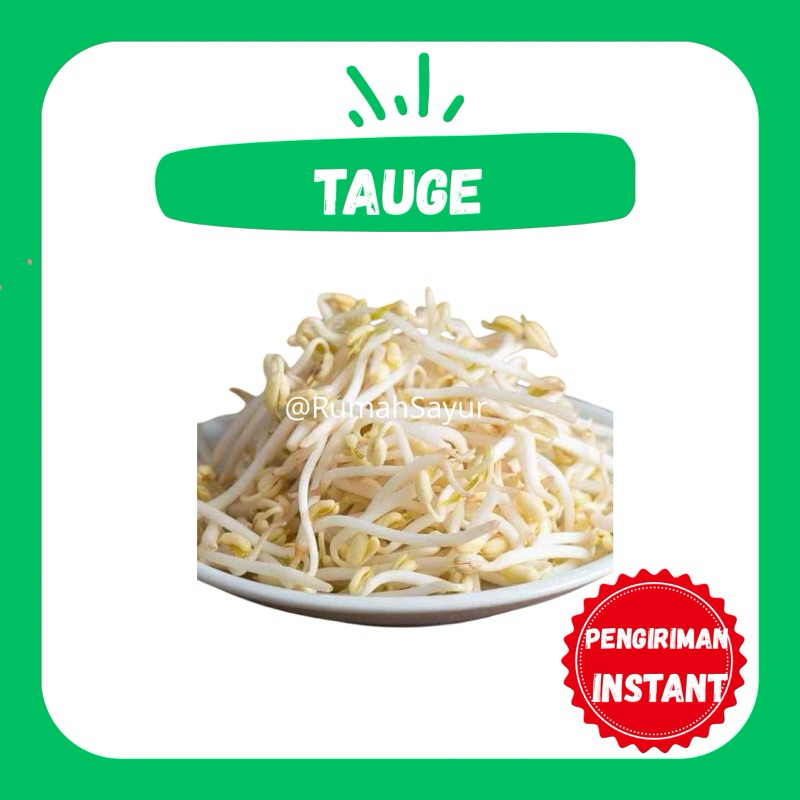 

[KIRIM INSTANT] TAUGE 100gr - RUMAH SAYUR