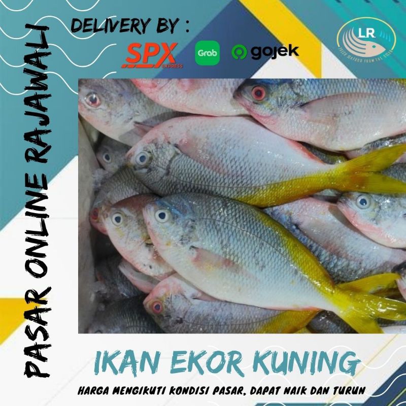 

Ikan ekor kuning