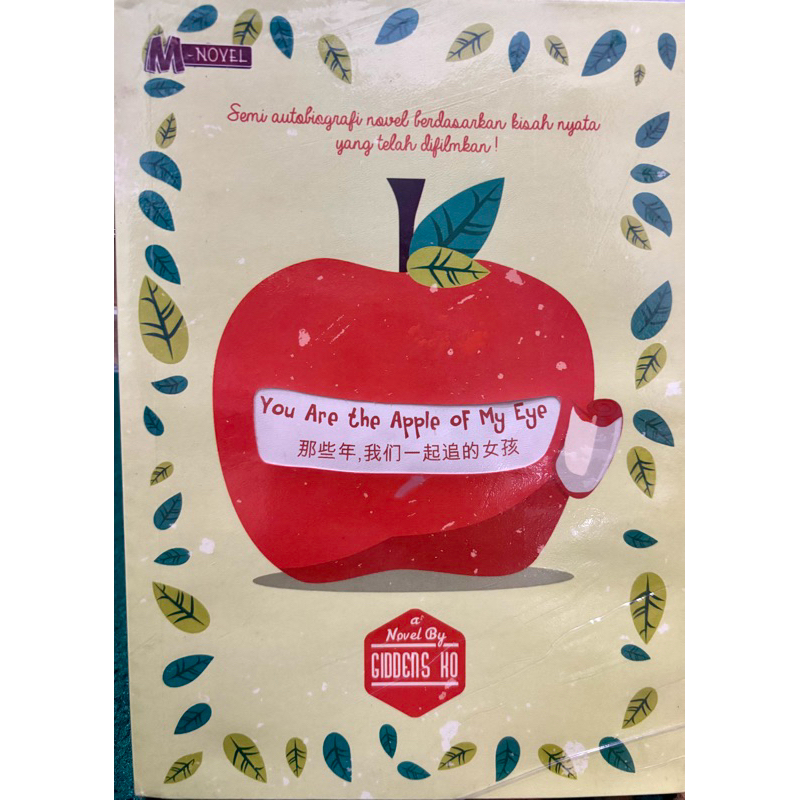 Novel You Are The Apple Of My Eye