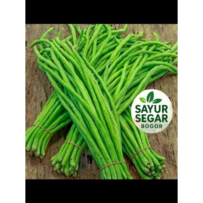 

Kacang Panjang 500 gr