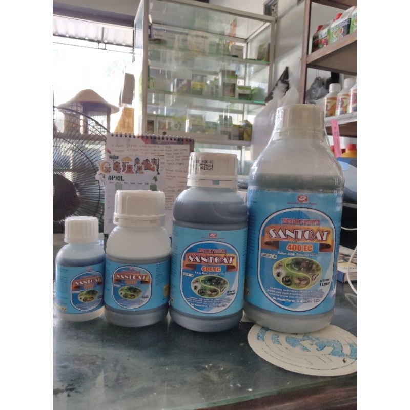 Obat Lalat Buah Tanaman | Insektisida SANTOAT 400 EC Dimetoat 400