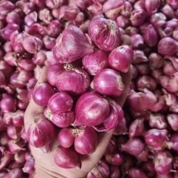 

Bawang merah super 250gr