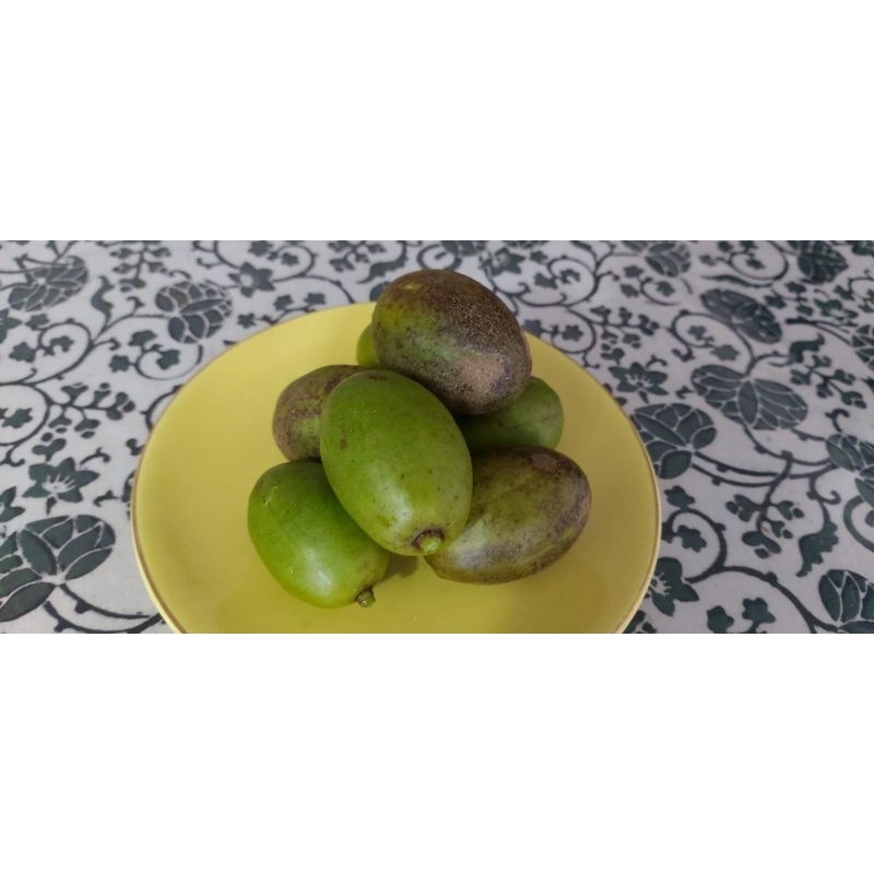 

BUAH KEDONDONG segar (jenis buah untuk manisan, petik langsung dari pohon, jenis manisan, harga per kg)