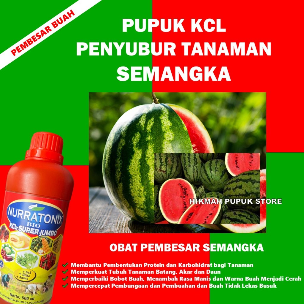 PUPUK PENYUBUR TANAMAN SEMANGKA, PUPUK CAIR PELEBAT SEMANGKA KCL NURRATONIX PUPUK BOOSTER PERTUMBUHA
