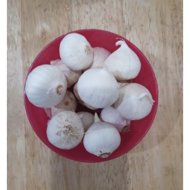 

Bawang lanang putih tunggal / bawang putih lanang tunggal sortir pilihan terbaik