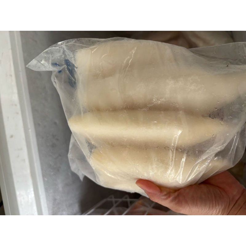 

squid tube ( cumi ) @ 1 kg