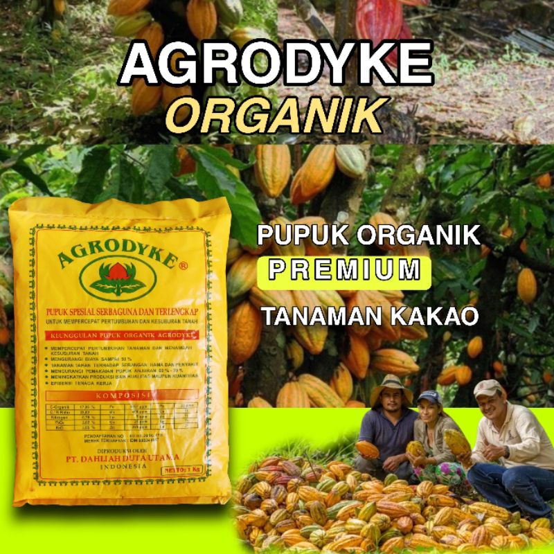 (COD) Agrodyke Pupuk premium kakao 100%