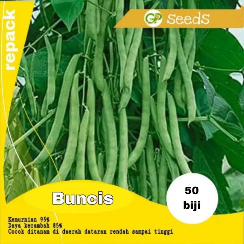 benih buncis | benih sayuran | bibit sayuran | benih tanaman