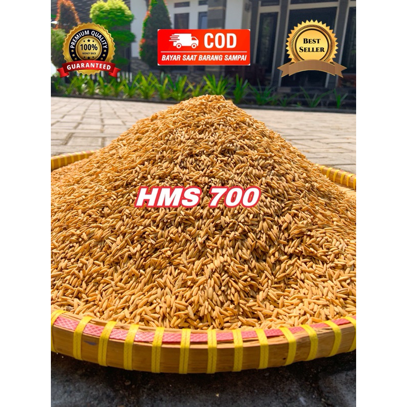 benih padi hms 700 kemasan 5kg