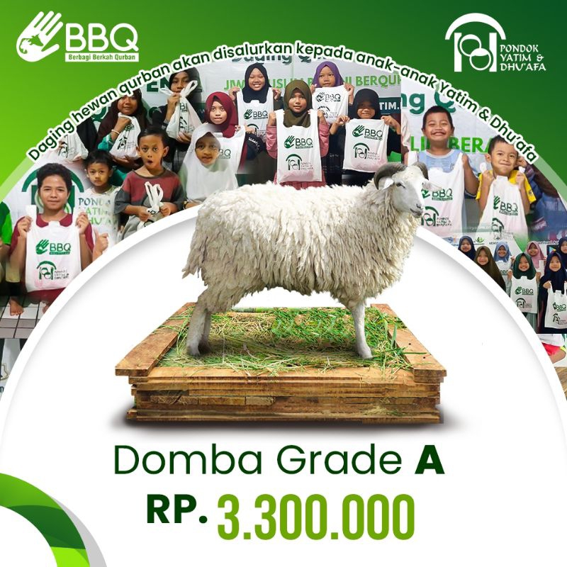 

Qurban Domba Grade A Pondok Yatim dan Dhuafa