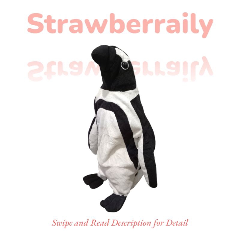 [Preloved] Boneka Pinguin Aqua