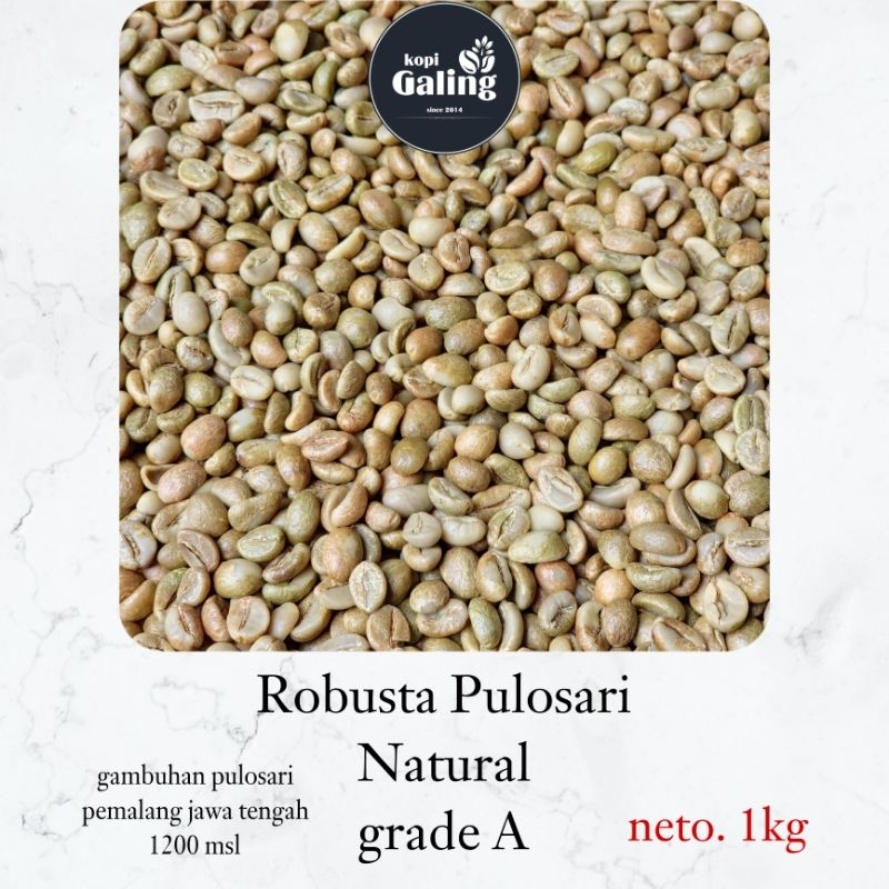 

KOPI ROBUSTA GALING GRADE A 1kg 100% biji kopi asli PULOSARI PEMALANG