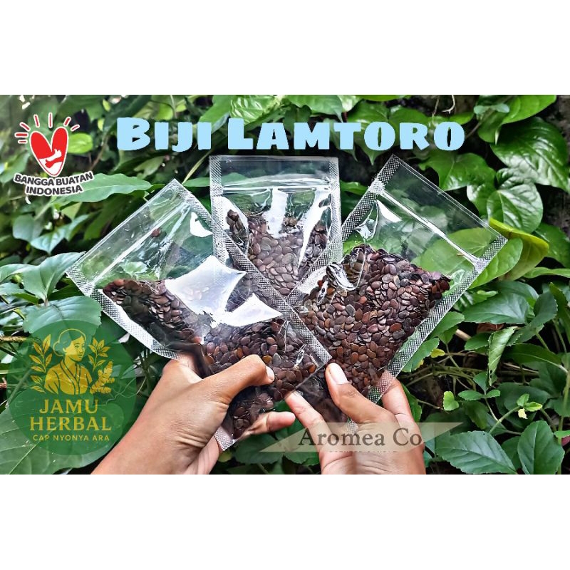 

Biji Lamtoro, Petai Cina Bersih 100% & Organik / Siap di tanam / Bahan baku herbalis