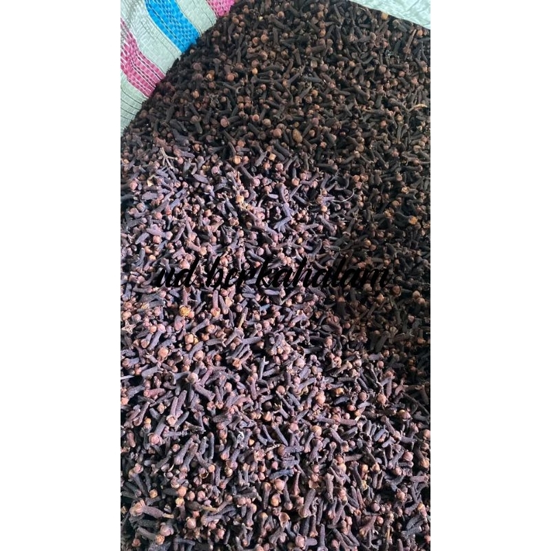 

Cengkeh kering utuh kualitas premium rempah rempah bumbu dapur