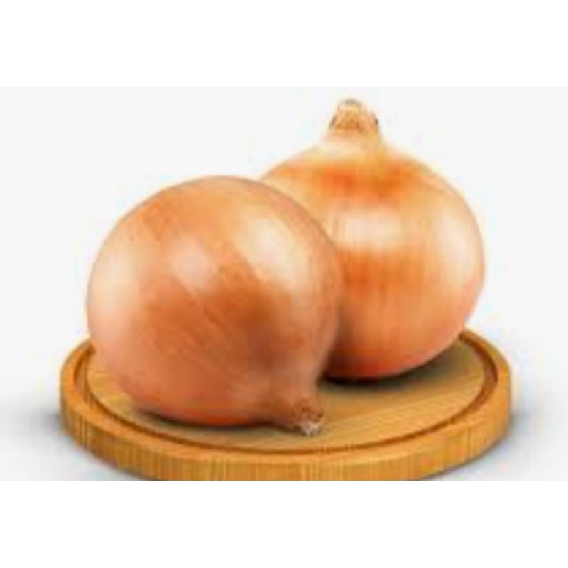 

BAWANG BOMBAY SUPER RP, 17.000 / 500 GRAM