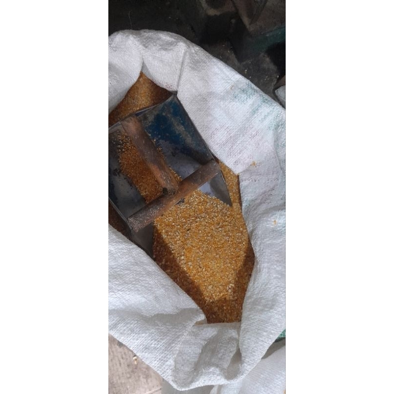 

JAGUNG GILING PER 1 KILOGRAM