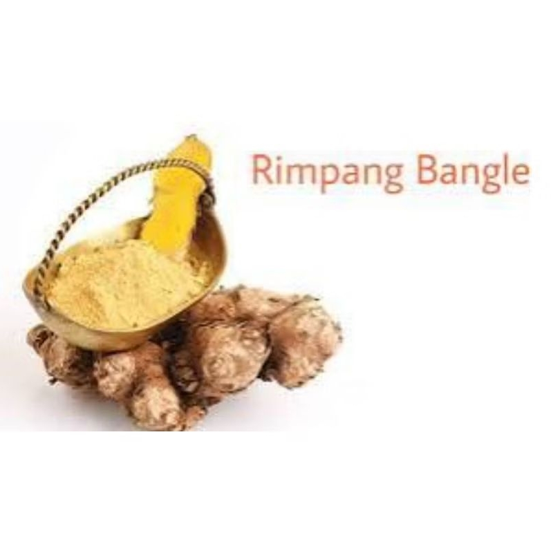 

Bubuk Serbuk Bangle 1 kg kiloan