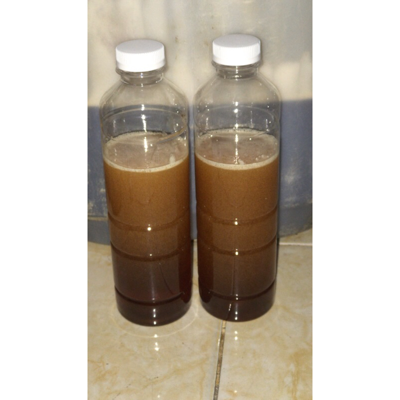 

MADU ASLI 100% Murni tanpa campuran apapun . garansi uang kembali jika tidak asli