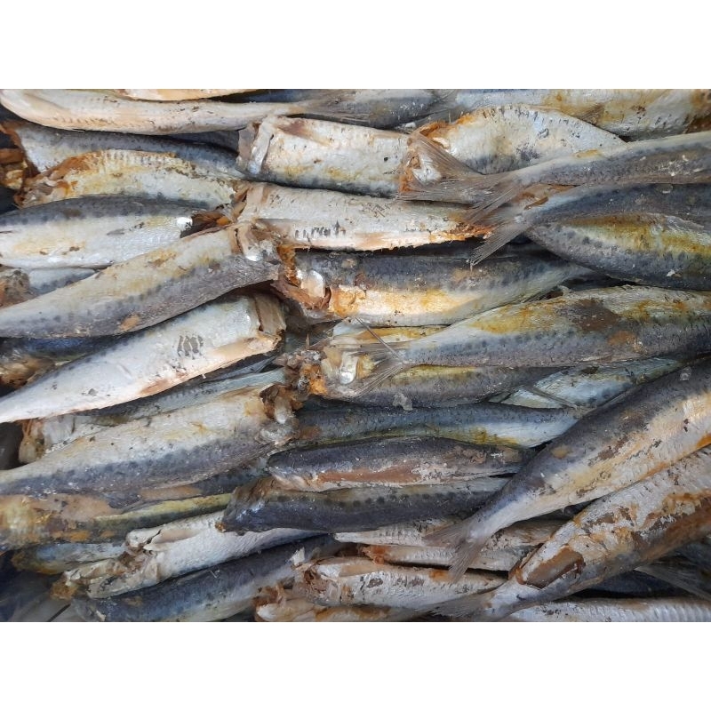 

ikan peda sero