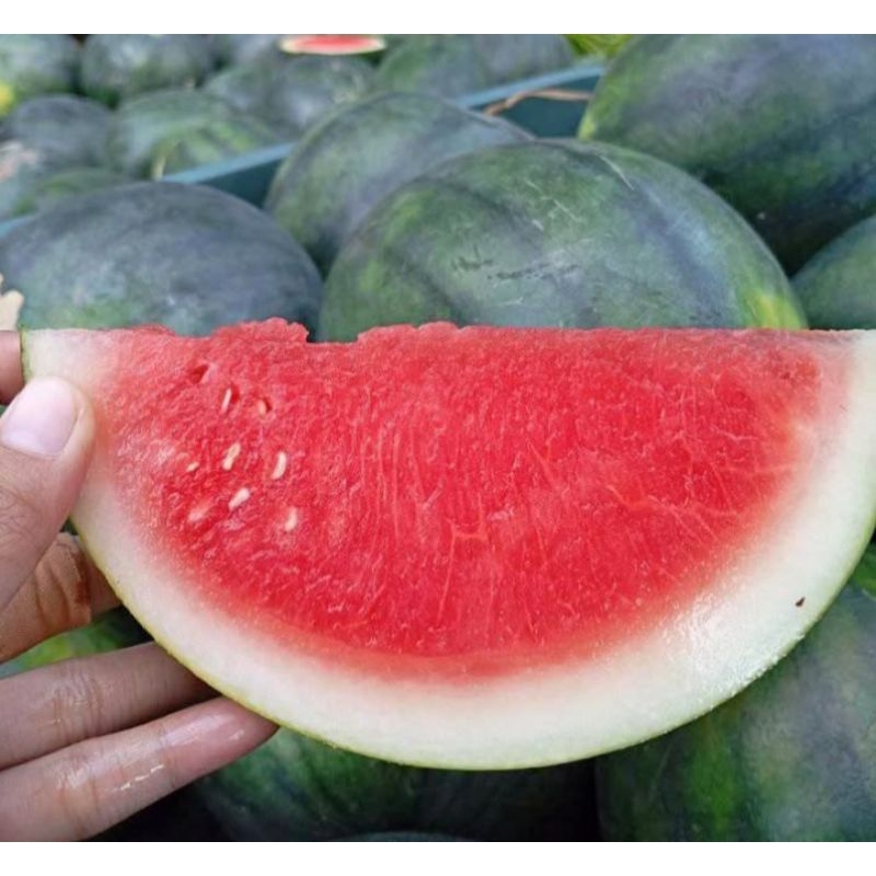 

semangka merah Fress 1buah