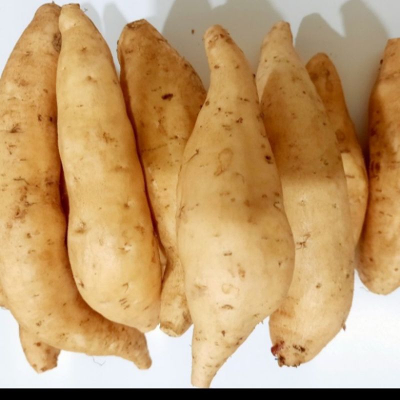 

UBI MADU CILEMBU PACET/TRAWAS ASLI SUPER 1KG