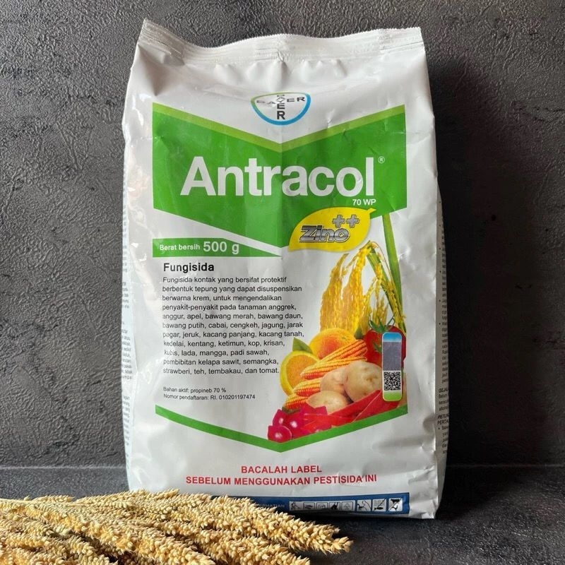antracol 70wp 500gram
