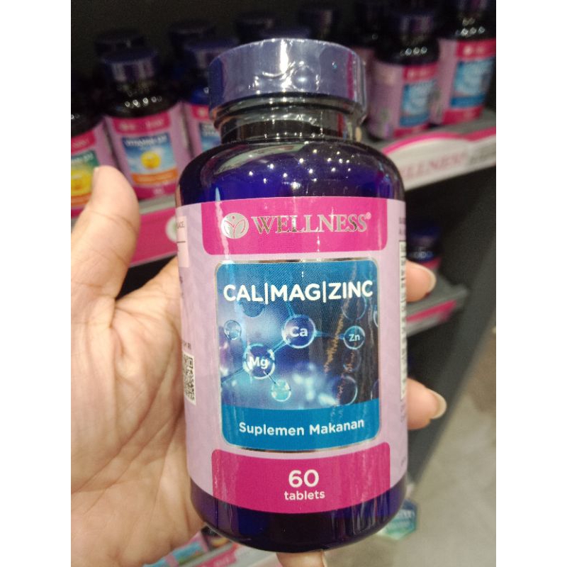 Wellnes Cal Mag Zinc 60 Tablet - Wellness cal mag zinc 60 tablet