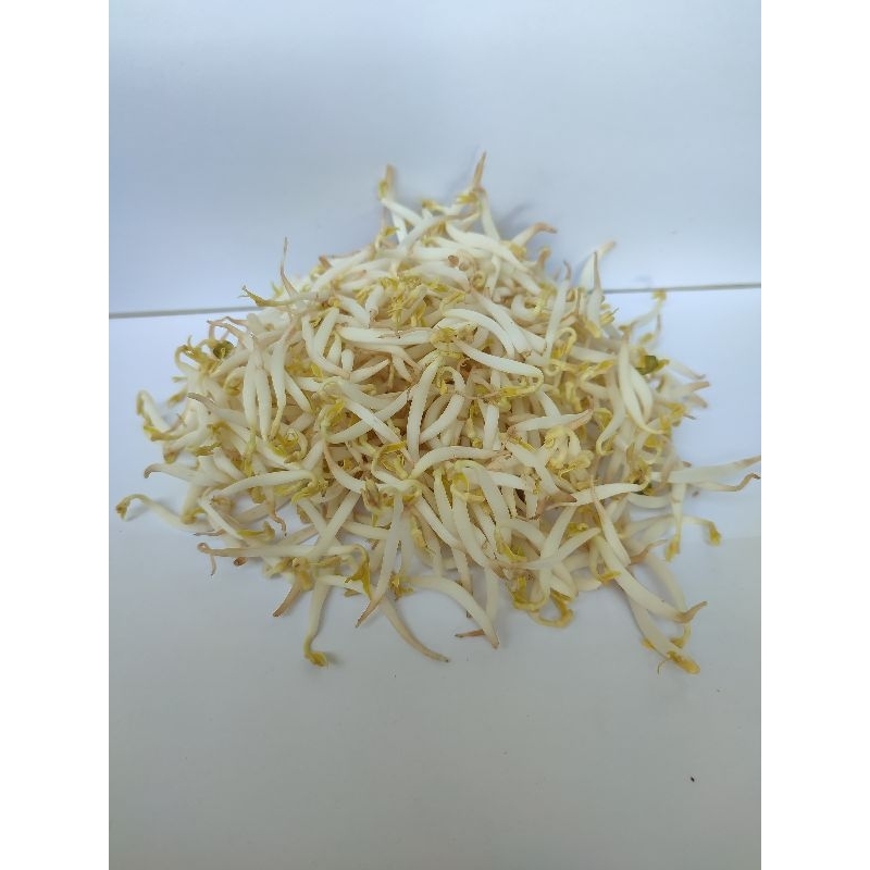 

Kecambah 250gr