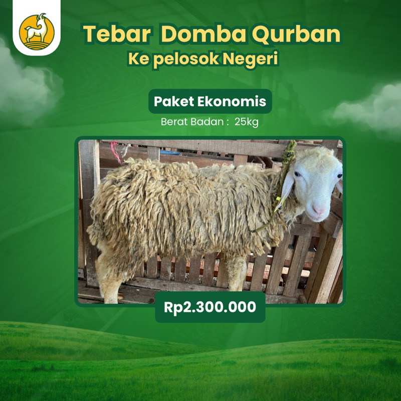 

TEBAR DOMBA QURBAN KE PELOSOK NEGERI