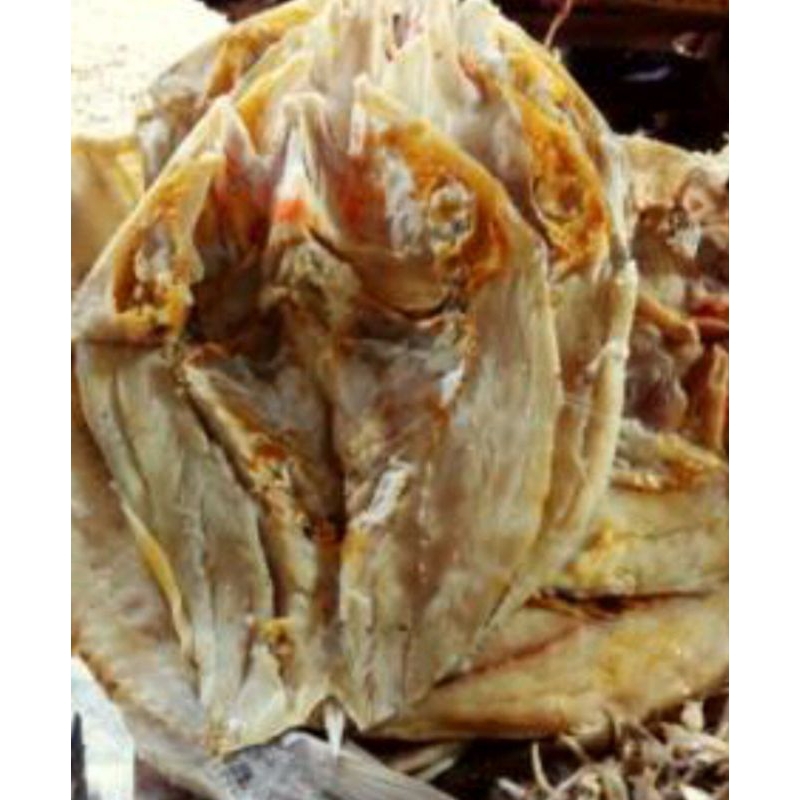 

IKAN KAKAP ASIN 500 Gram
