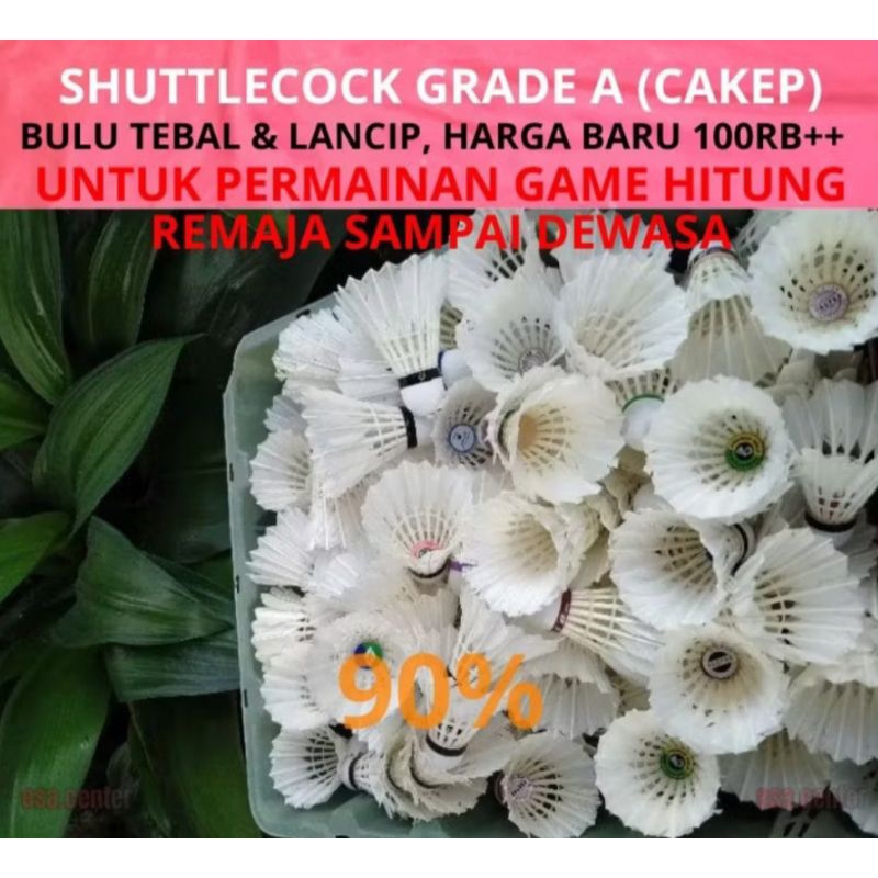SHUTTLECOCK 1 (SLOOP) GRADE A BEKAS TURNAMEN