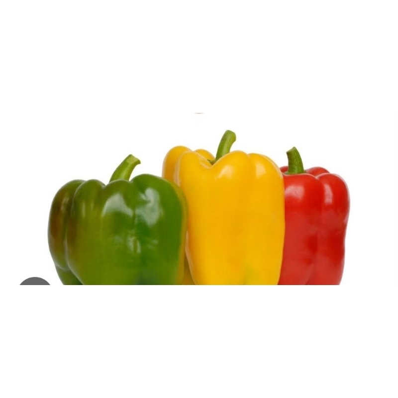 

paprika 500 gram
