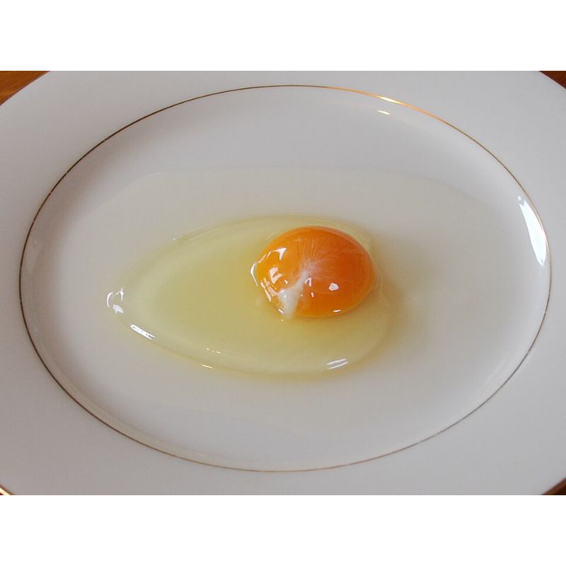 

Putih Telor Fresh Kemasan 1Kg ( Plastik ) | Dijamin STOK BARU FRESH