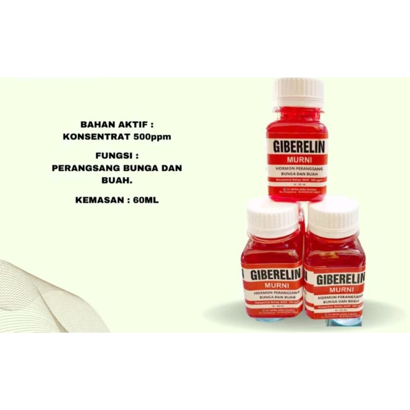 ZPT GA3 GIBERELLIN murni 60 ml