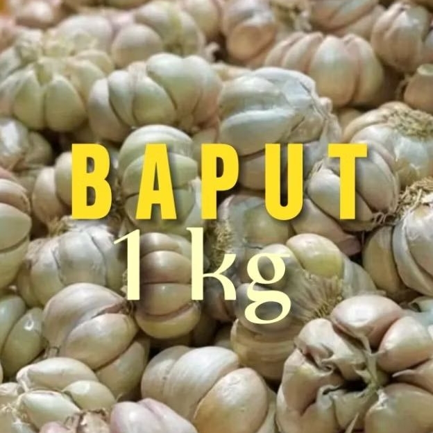 

bawang putih 1kg garut bawang putih murah bawang putih diskon