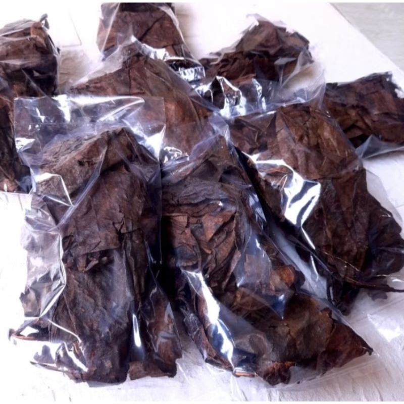 Daun Ketapang Laut Olahan Fermentasi Spesial Super Pekat Grade A