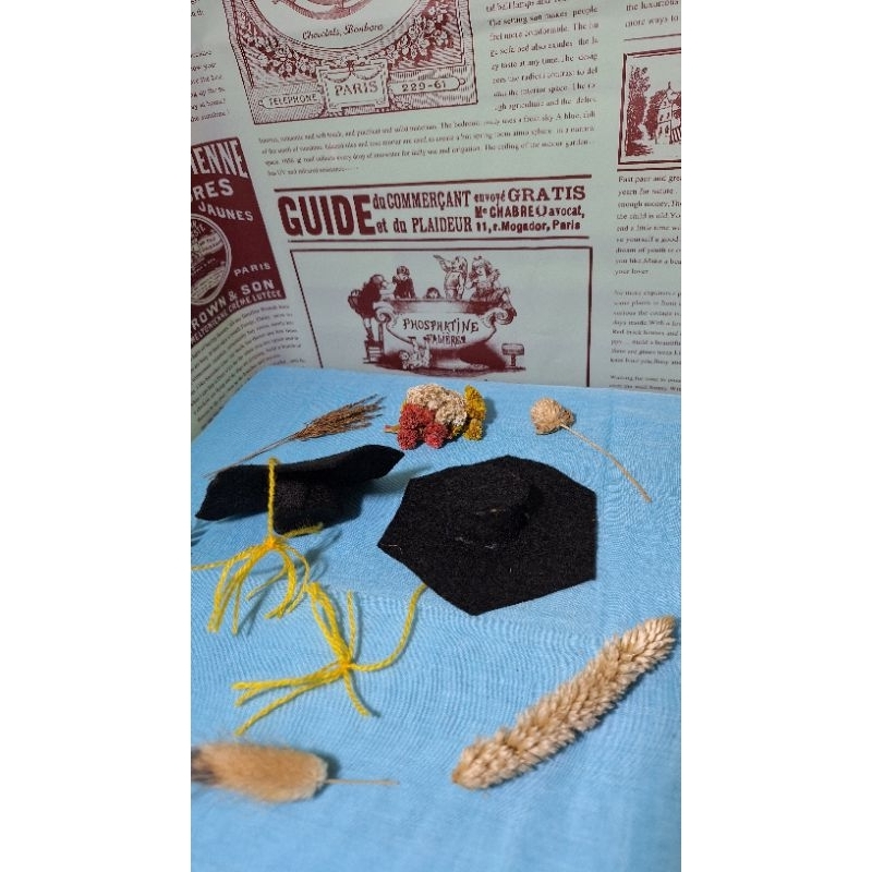 

Topi Toga Boneka Wisuda Graduation Teddy Bear Kecil & Besar