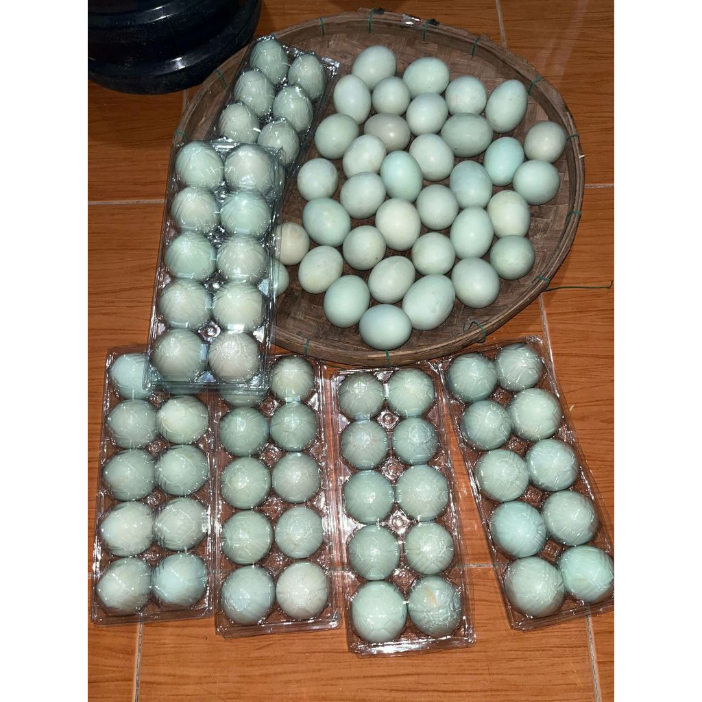 

Telur Bebek Omega 3 – Langsung dari Kandang – Per Mika Isi 10 Butir – Segar & Sehat