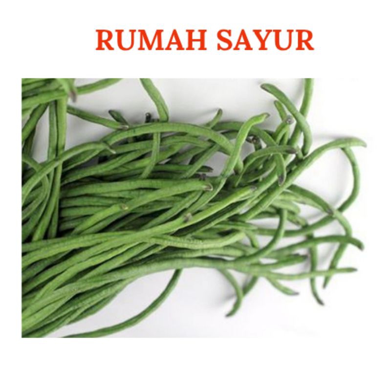 

Kacang Panjang 1 ikat