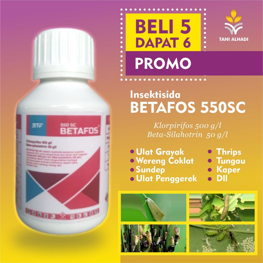 BETAFOS 550SC 100ml - Insektisida Klorpirifos & Beta sihalotrin Kontak & Sistemik