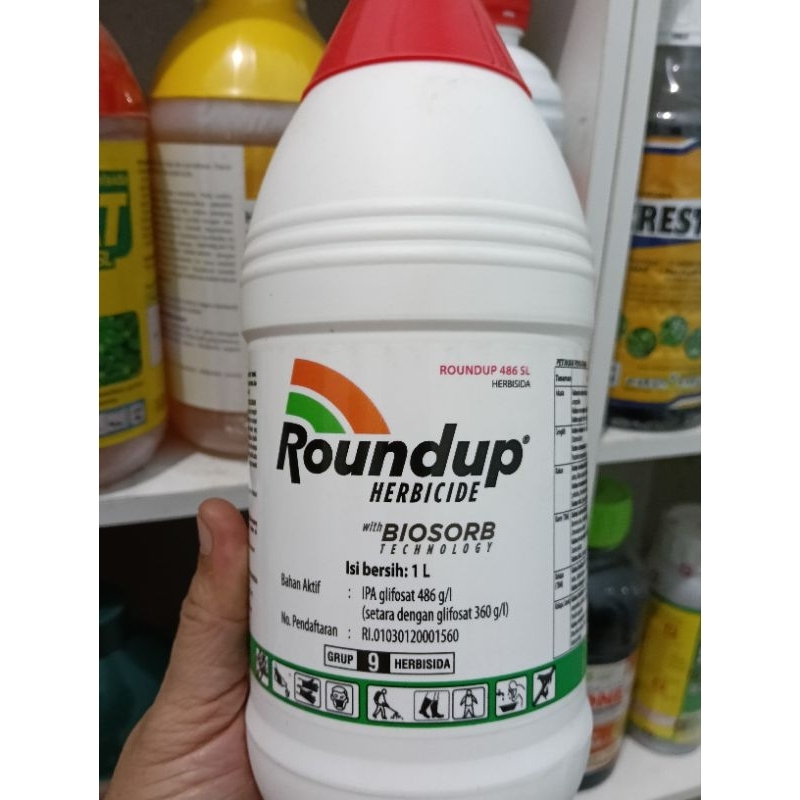 Roundup 486SL - Herbisida sistemik racun rumput liar