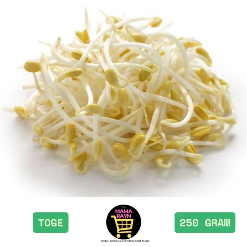 

sayur toge / tauge segar / sayur murah / 250 gram