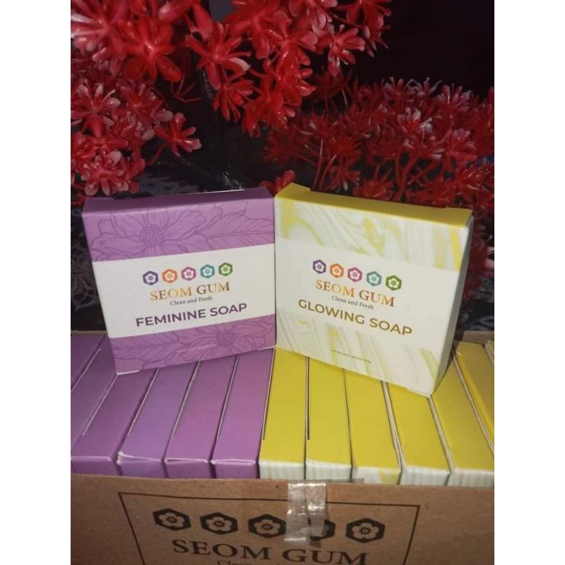 

SEOM GUM ORIGINAL BPOM BIKIN WAJAH MU LEBIH CERAH DAN LEMBUT