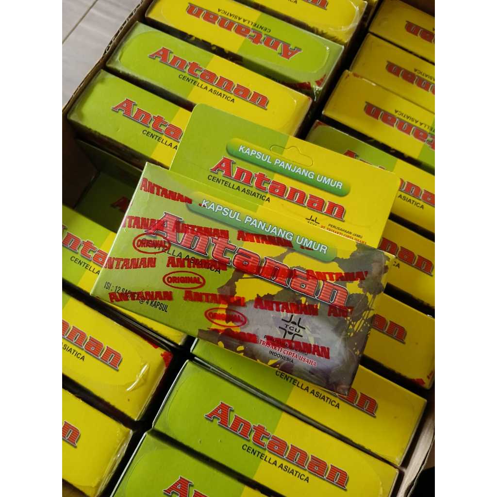 

VARIAN KEMASAN KARDUS leaf cen-tella