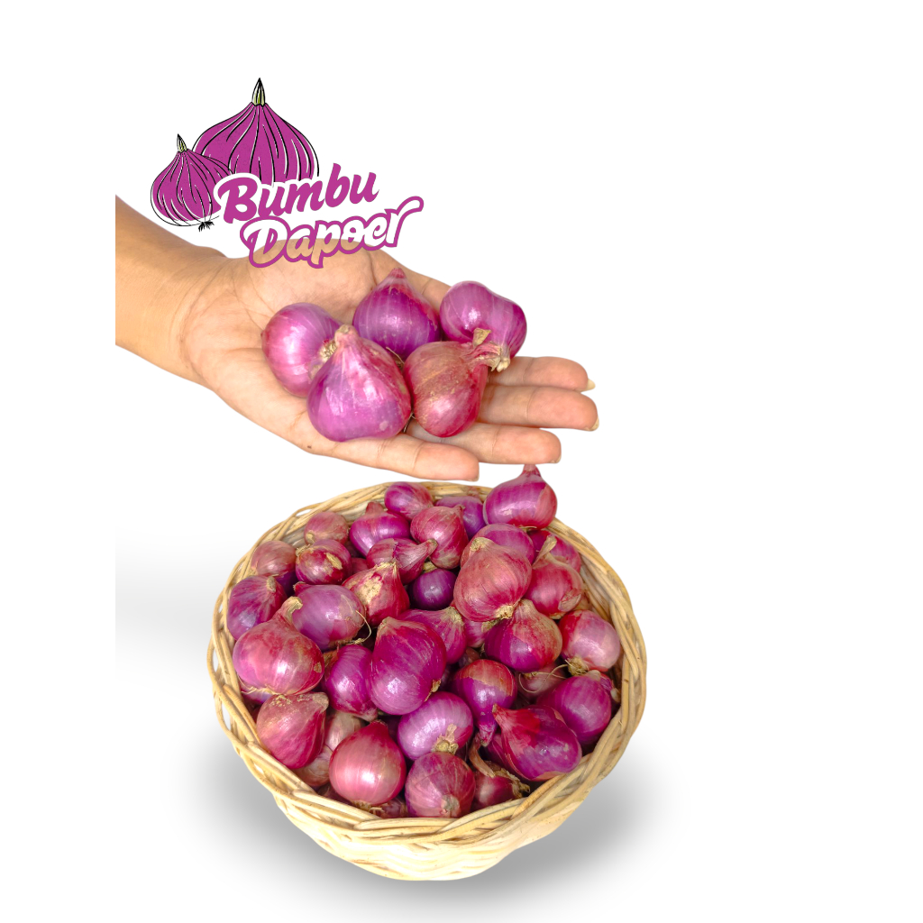 

Bawang Merah Bamer Lokal Nganjuk Kering Ukuran Besar Jumbo Berat 1 Kg